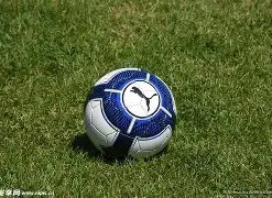 国足双日加,猛攻世预赛,备战,亚博体育,亚博体育官网,亚博体育app,亚博体育下载